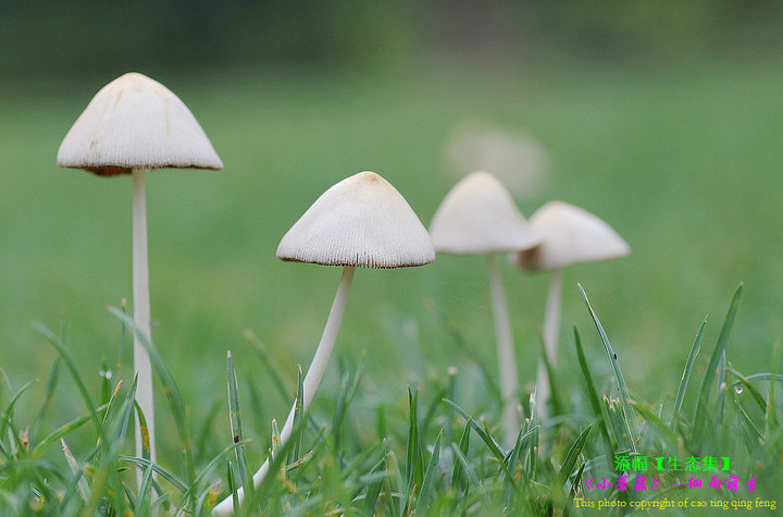 【beat·365】教育评价与测量——现