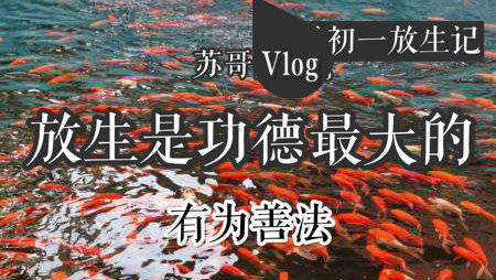 beat·365-科大讯飞再回应AI同传