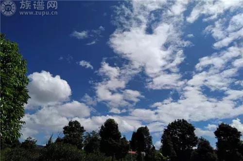 beat·365：济南启用无人机抓拍开车